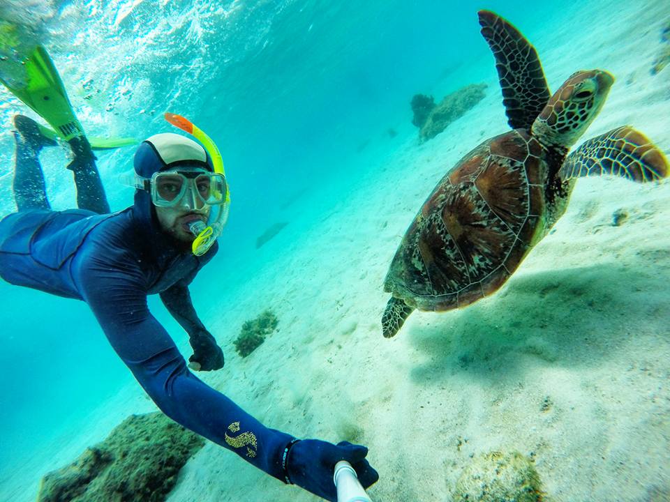 Swimming with a turtle in The Great Barrier Reef. Ticking off a life long bucket list idea whilst snorkelling with a majestic sea creature